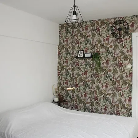 Joli à Louer à La Belge * De Haan